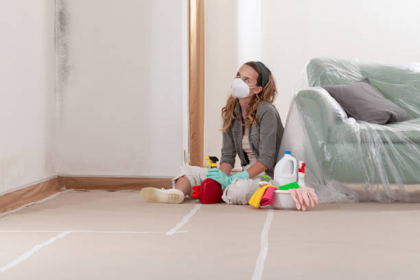 Reliable Basement Mold Removal contractor in Virginia Beach, VA by WQB Mold Removal